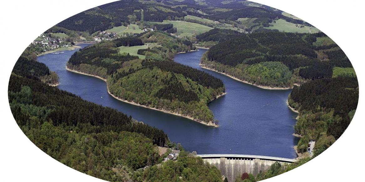 Freiwasserschwimmer fischen Edelmetall aus dem Rhein