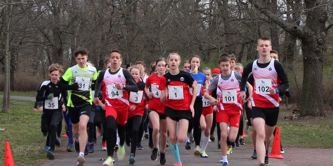 Landesmeisterschaften im Straßenlauf