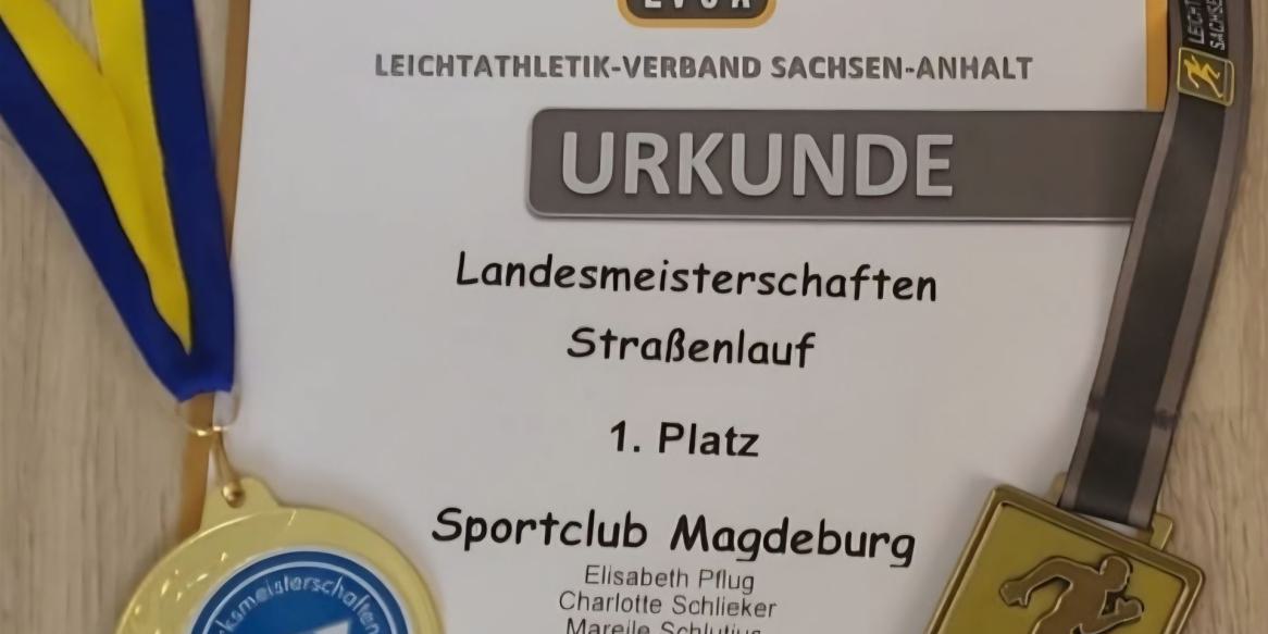 Landesmeisterschaften im Straßenlauf